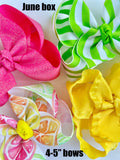 The Bow Box (monthly subscription)