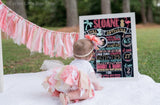 Flamingo Tutu Outfit -- Coral and Gold Flamingo Birthday Outfit - Darling Little Bow Shop