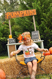 Pumpkin Over The Top bow - Pumpkin Glam - Gorgeous collaboration of stunning orange, gold and leopard print curly feathers - Darling Little Bow Shop