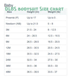 Baby Girl First Birthday bodysuit, Winter ONEderland - Darling Little Bow Shop